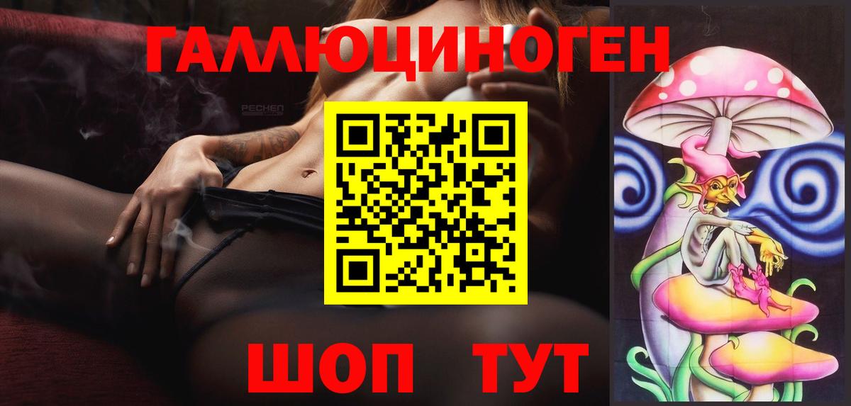 Галлюциногенные грибы Psilocybe  Вход с VPN  Зима 