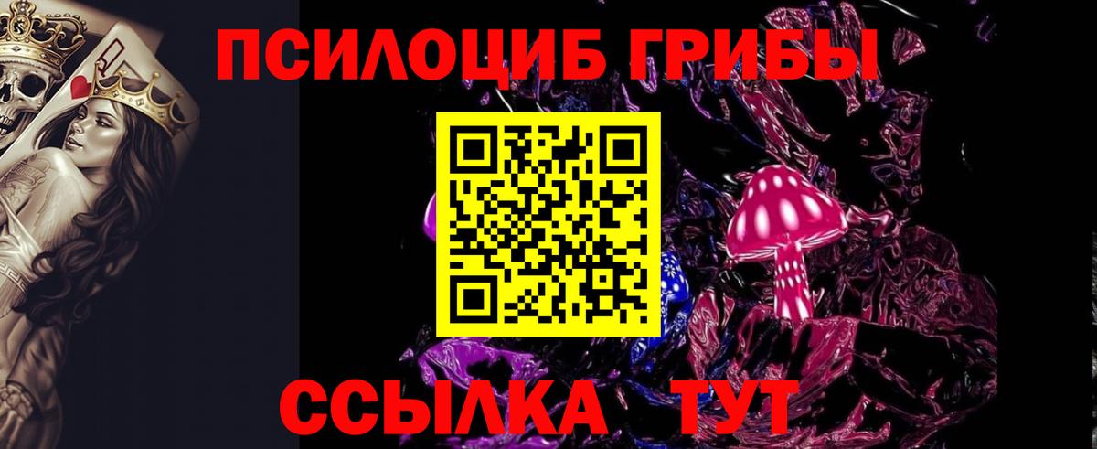 Псилоцибиновые грибы Magic Shrooms Зима